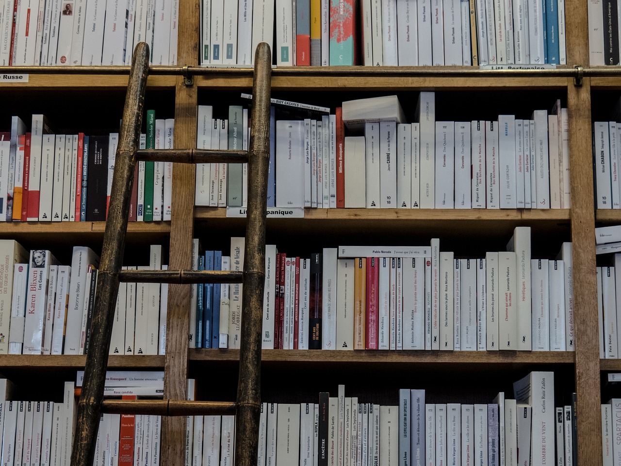 How to Convert an Old Ladder into a DIY Shelf